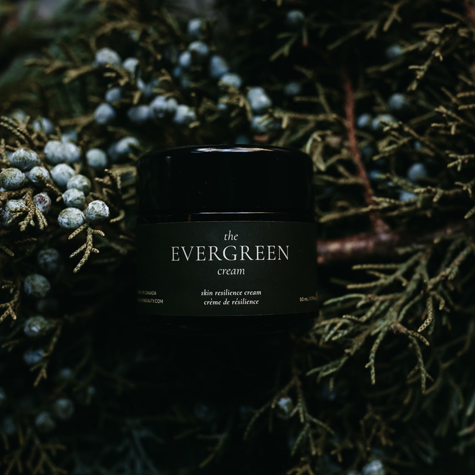The Evergreen Cream